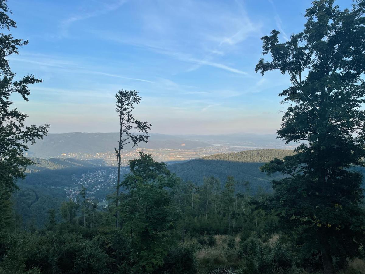 Pokoje Pod Szyndzielnia Bielsko-Biala Exterior foto
